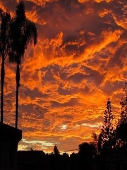 Merimbula Beach Apartments Bagian luar foto